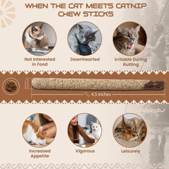 Gato masticando HUPA Cat Chew Sticks durante juego alegre.