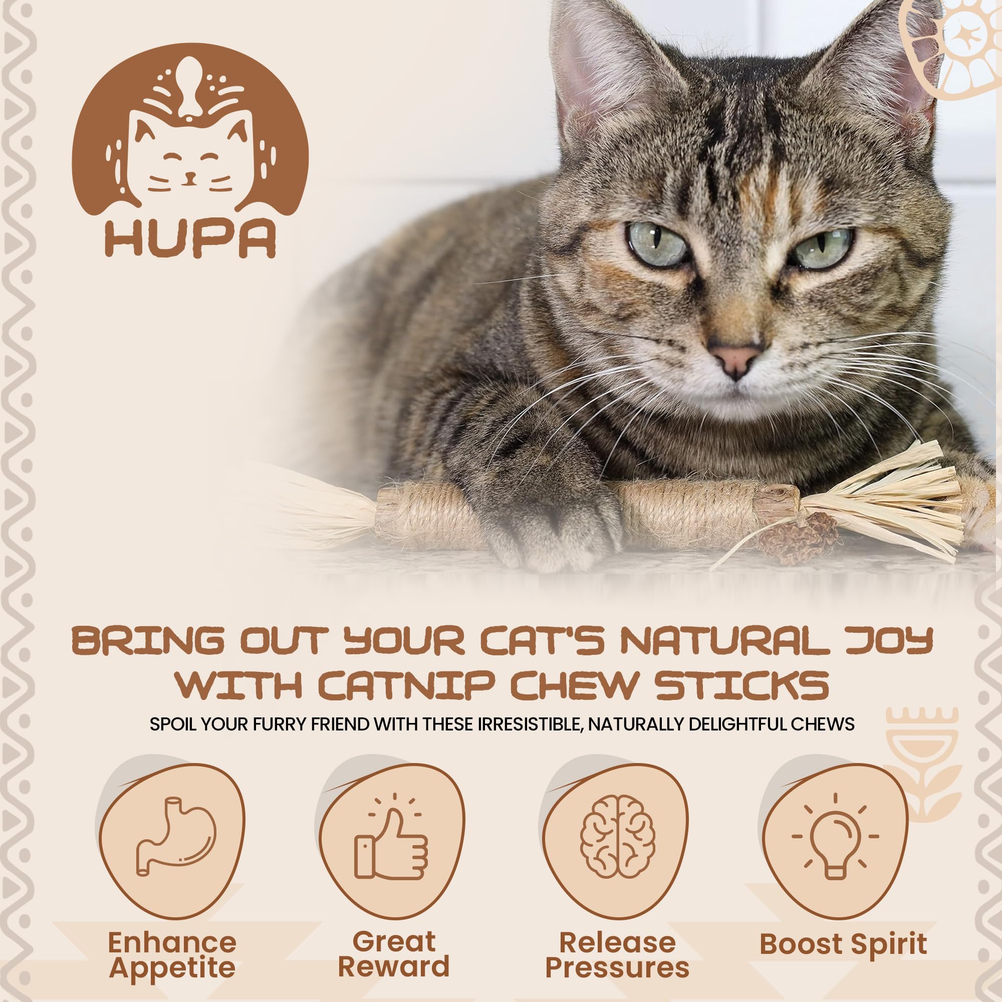 HUPA palitos Silvervine para gatos de todas las edades