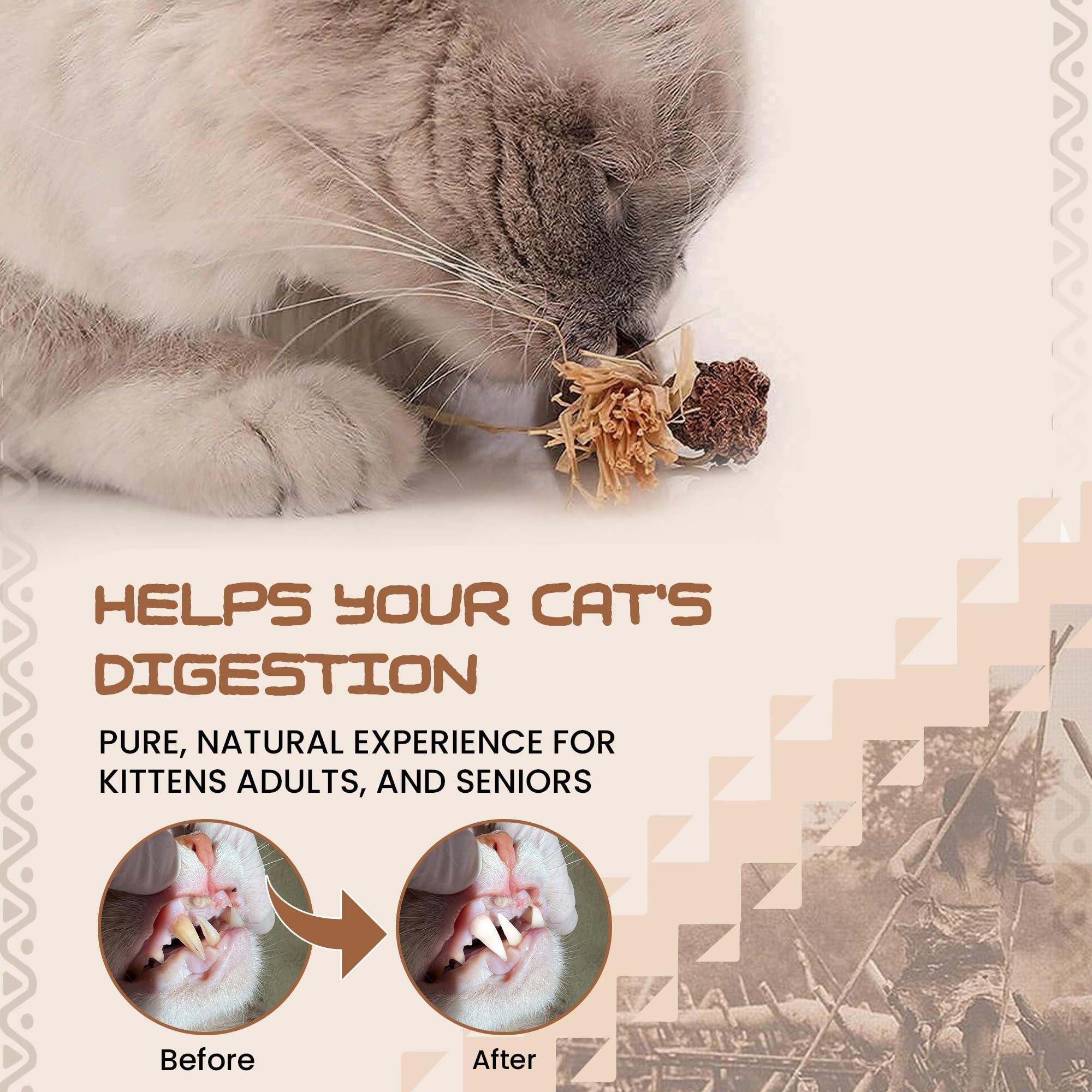 HUPA palitos Silvervine para tranquilizar gatos tras actividades