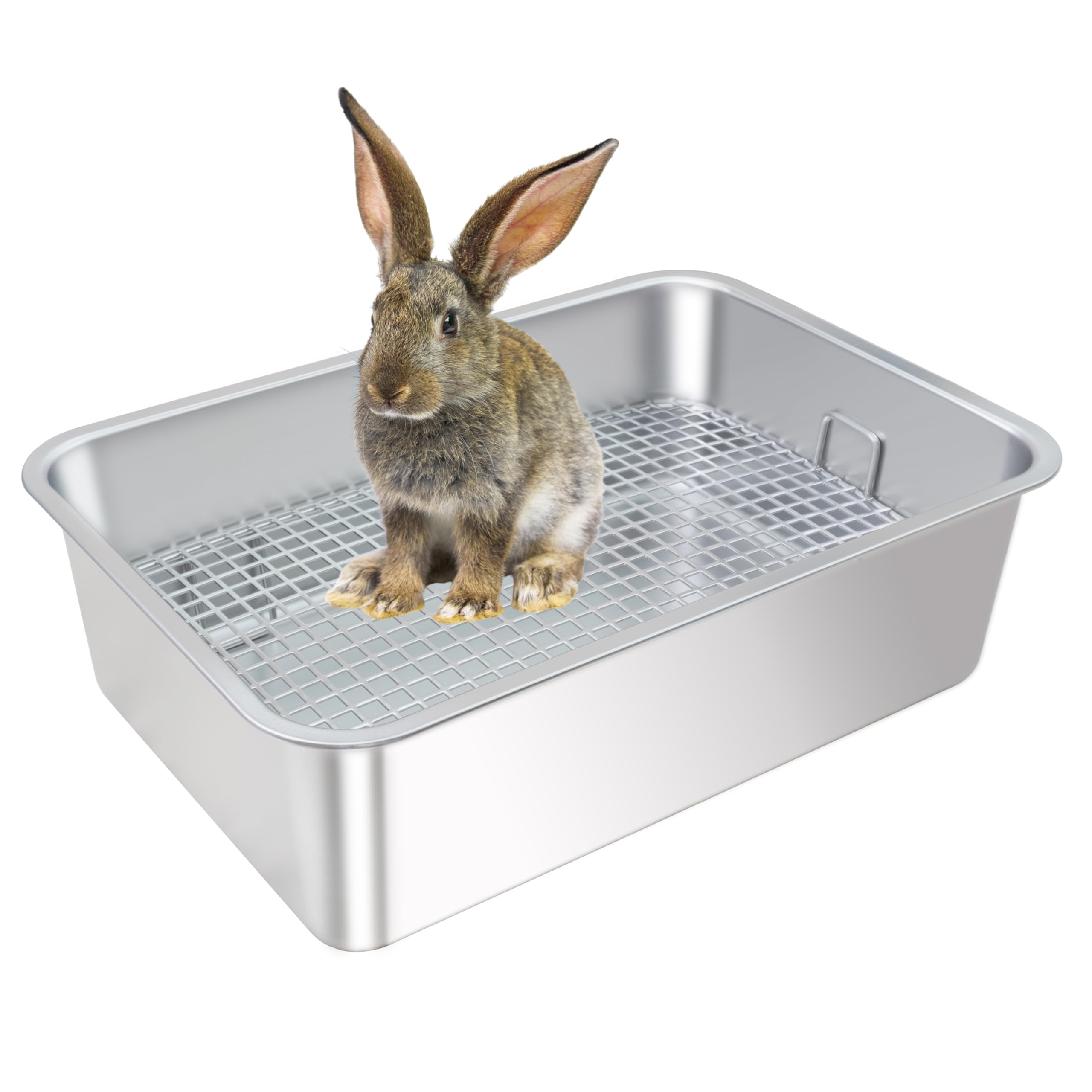HUQIZOO caja higiene para conejos de acero inoxidable, duradera y fácil de limpiar.