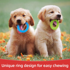 Conjunto de tres mordedores Hurray para cachorros, ideal para entrenamiento y juego