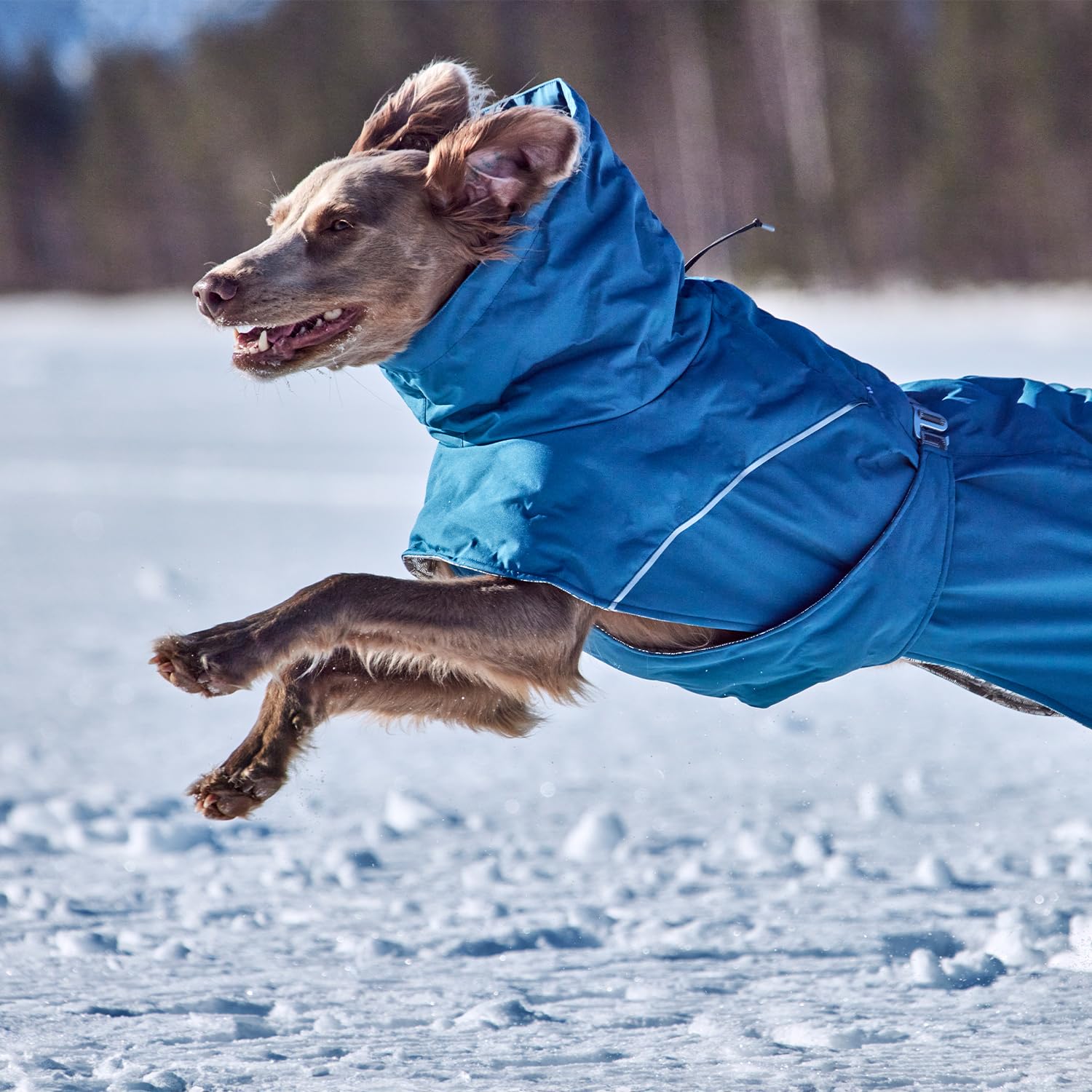 Hurtta Extreme Warmer 3 Eco, chaqueta para perro, vista trasera, cobertura integral.