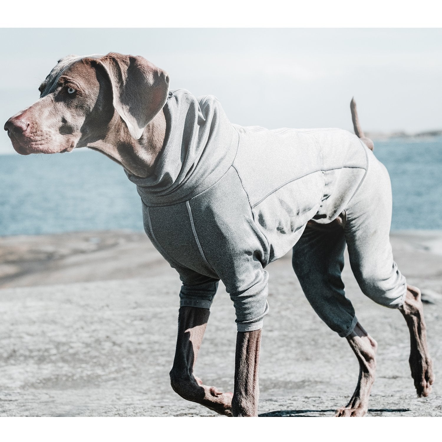 Hurtta prenda térmica para perro, guía de talla para ajustar perfectamente al perro