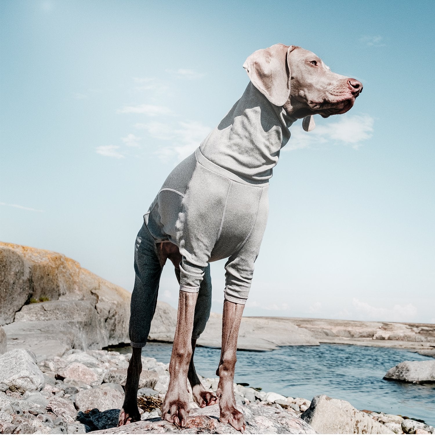 Hurtta prenda térmica, tejido cómodo y transpirable para perros activos