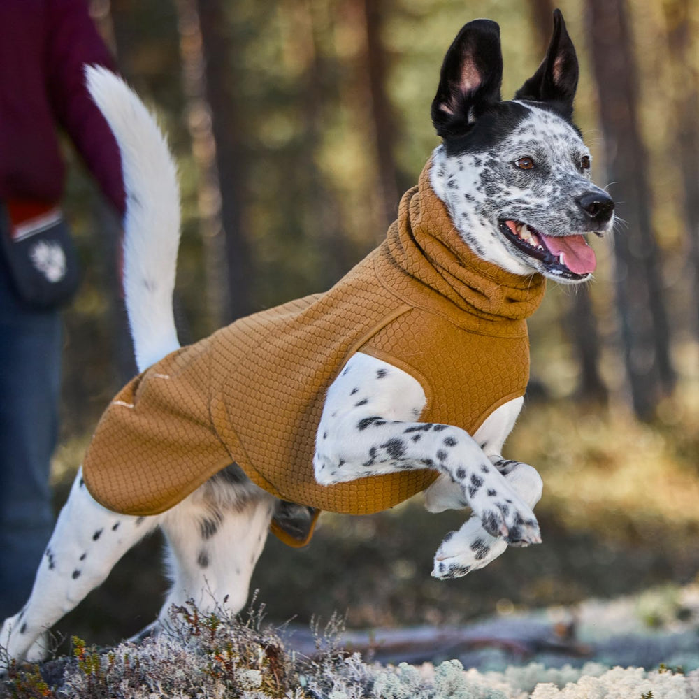 Hurtta Warming Midlayer ECO aberturas para patas delanteras permiten movimiento cómodo.