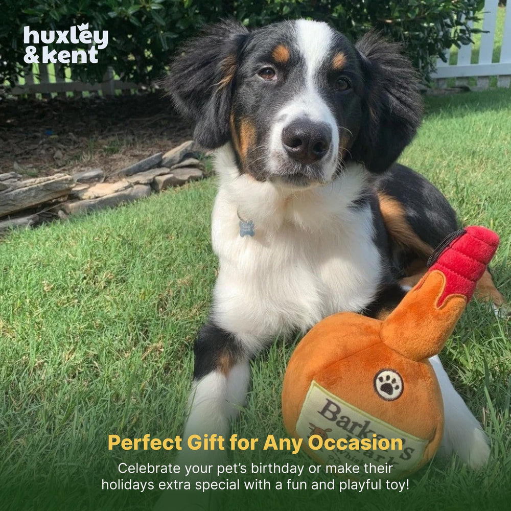Perro disfrutando del juguete Huxley Kent para juego y caricias
