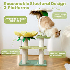 HYABI Arbol Gato Avocado con postes de sisal para cuidar uñas de tu gato