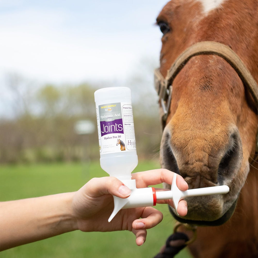 Hyalogic Hyalun Pro escena equina: caballos activos y felices