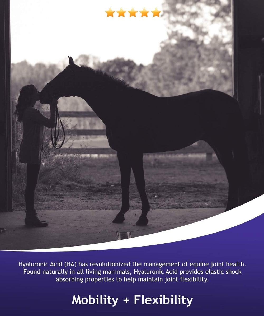Hyalogic Hyalun Pro juntas del caballo: soporte a la movilidad