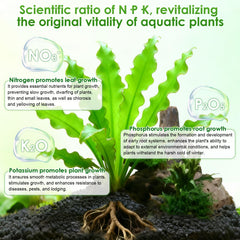 Hygger CO2 HC034 fórmula disuelta proporciona nutrición rápida sin enturbiar el agua.