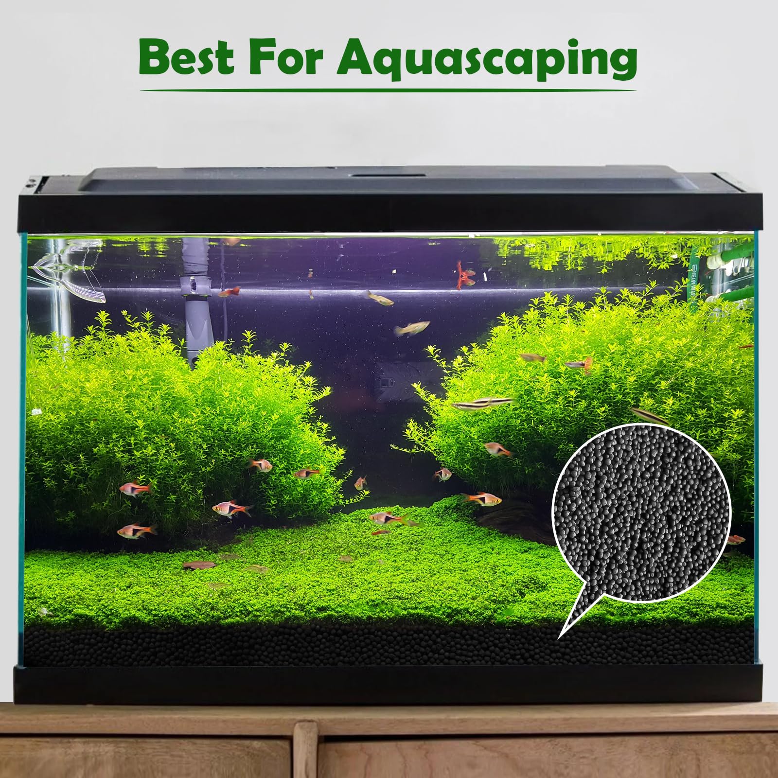 Hygger CO2 sustrato para paisaje de acuario, plantas sanas y camarones.