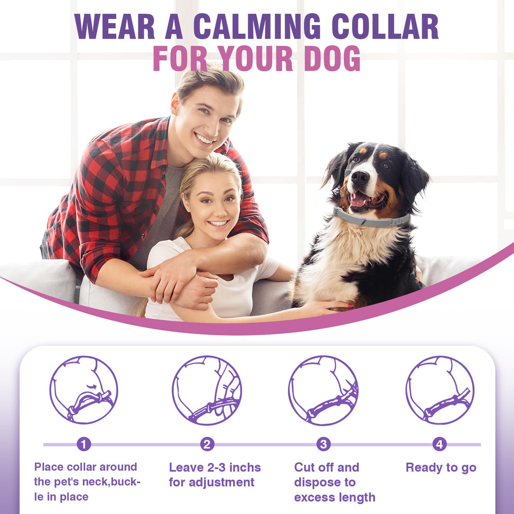 Hyjykd collar calmante libera feromonas de forma segura para apoyo emocional.