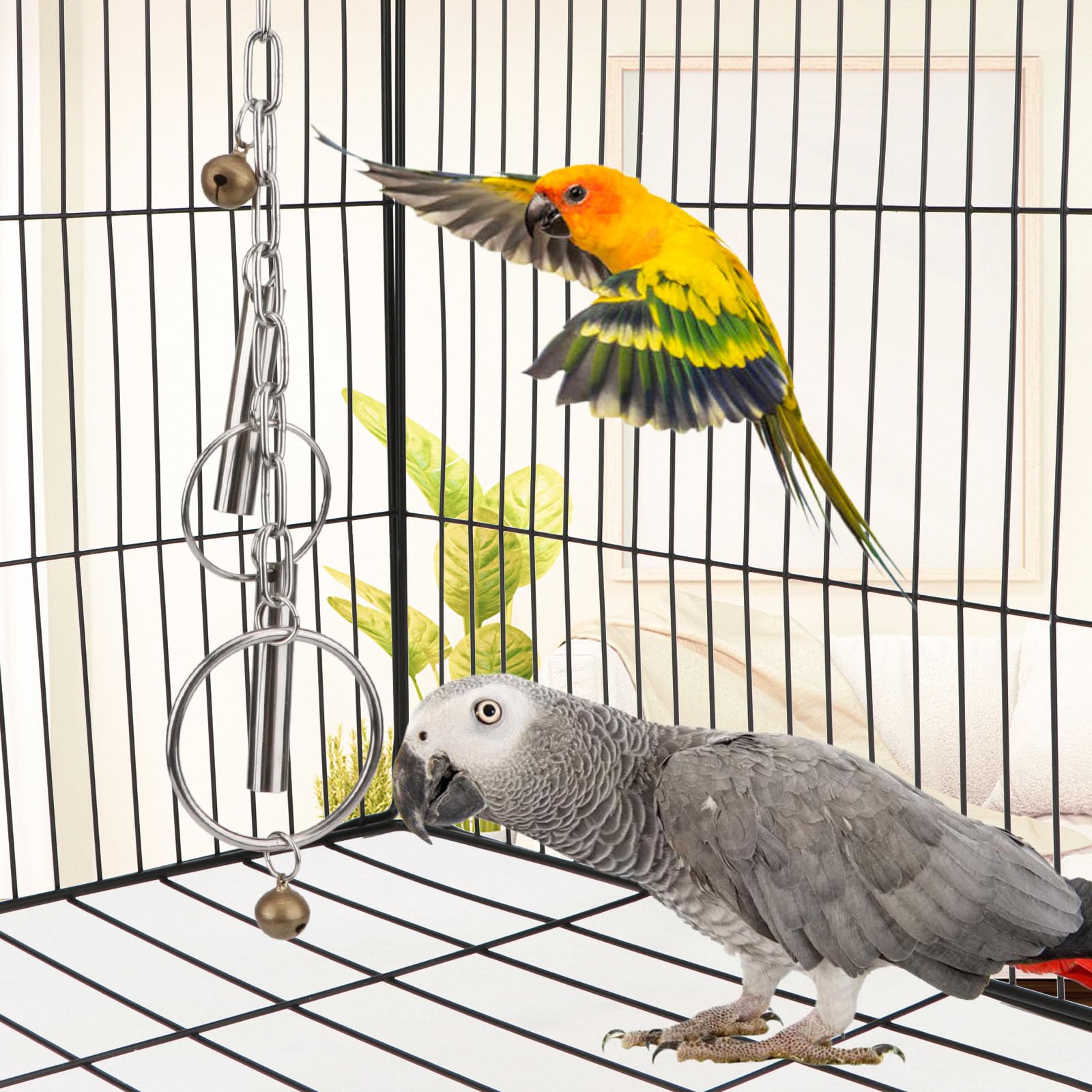 Aves de distintos tamaños usan Juguete Hypeety para escalar