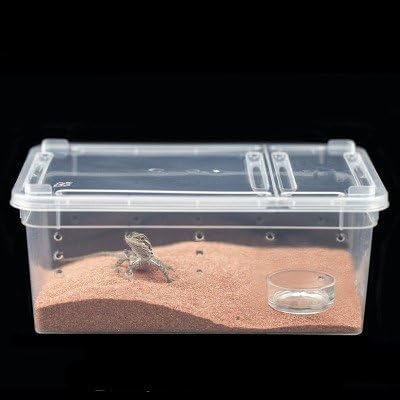 Contenedor de insectos Hypeety para cría segura.
