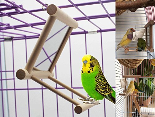 Hypeety cuidado del pico con madera natural para aves