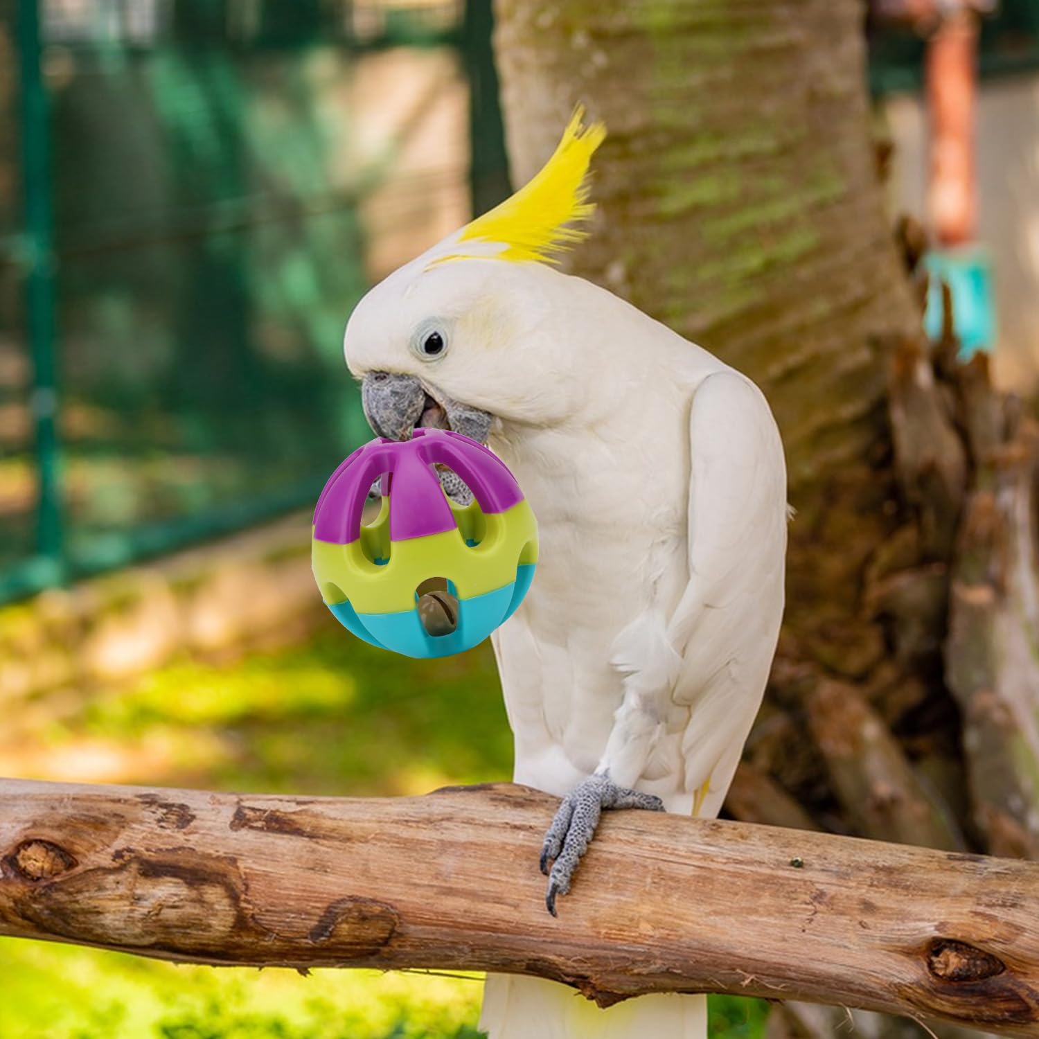 Hypeety juguete-pájaro con campana interior sonido suave para aves.