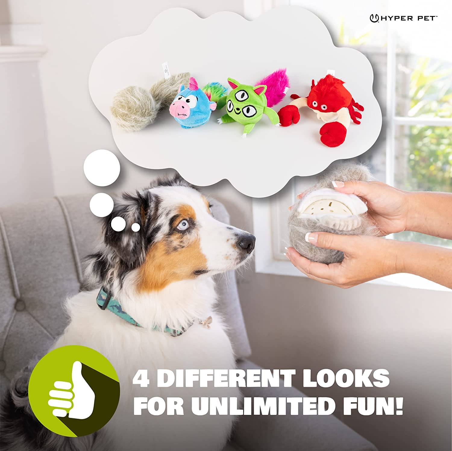 Hyper Pet Doggie Pal bola interactiva con batería recargable