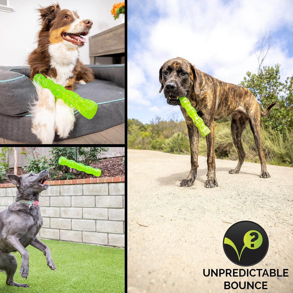 Hyper Pet Dura-Squeaks Palo Perro Para Piscina: ideal para nadar y buscar en el agua