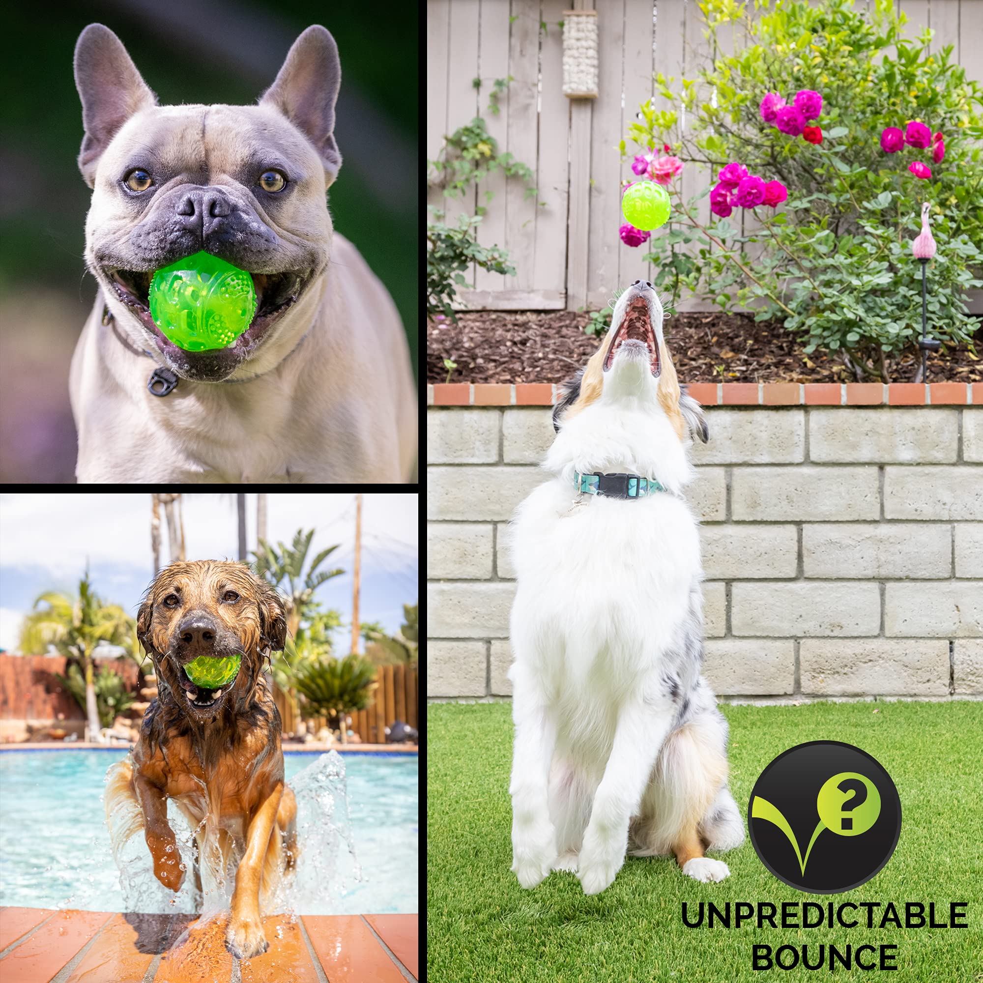 Hyper Pet DuraSqueak bola para cachorros y adultos en sesiones de juego