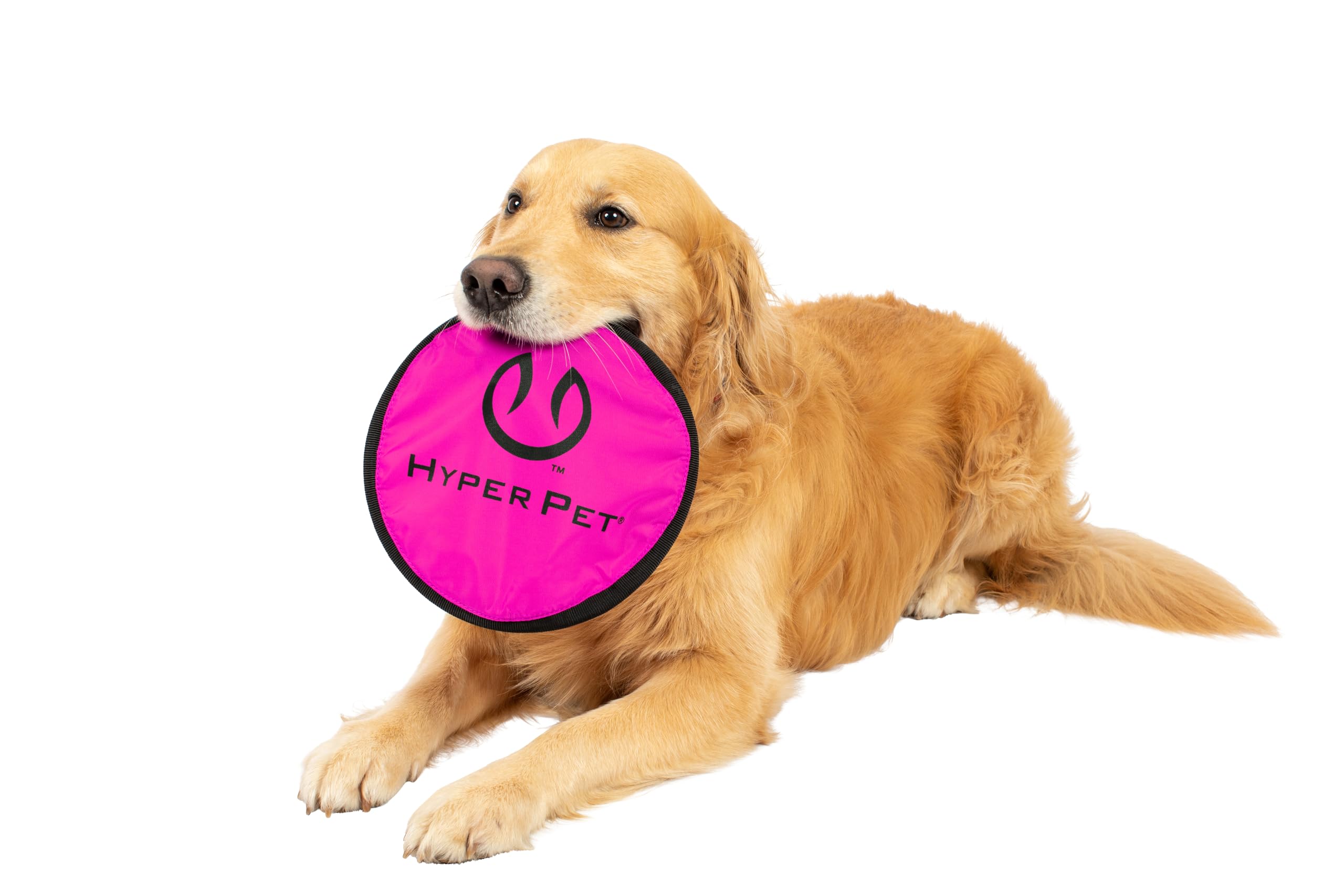 Hyper Pet Flippy Flopper frisbee de 9 pulgadas, ideal para juego en agua