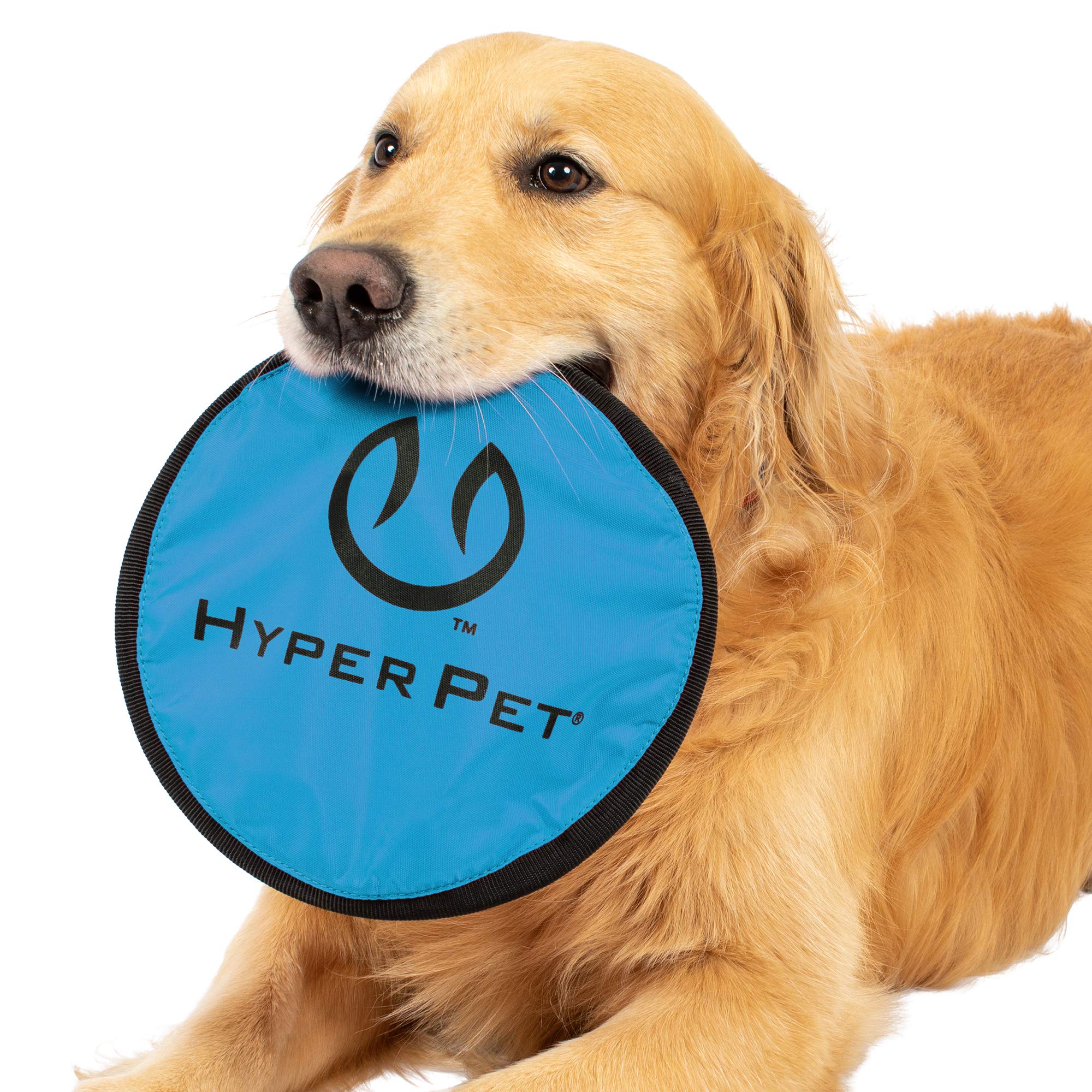 Hyper Pet Flippy Flopper seguro para dientes durante el juego.
