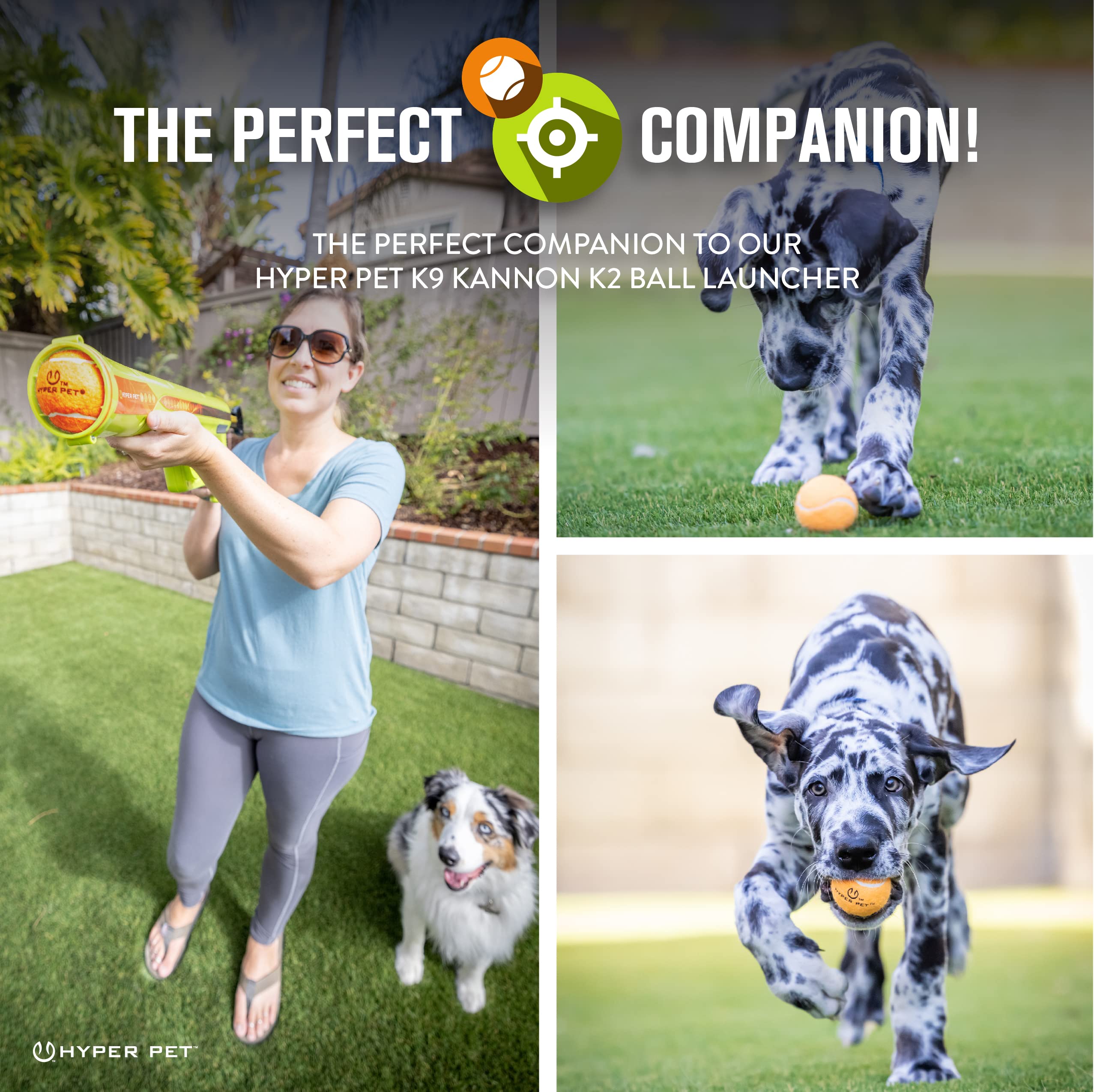Hyper Pet mini tenis verde para perros, resistente para morder y jugar