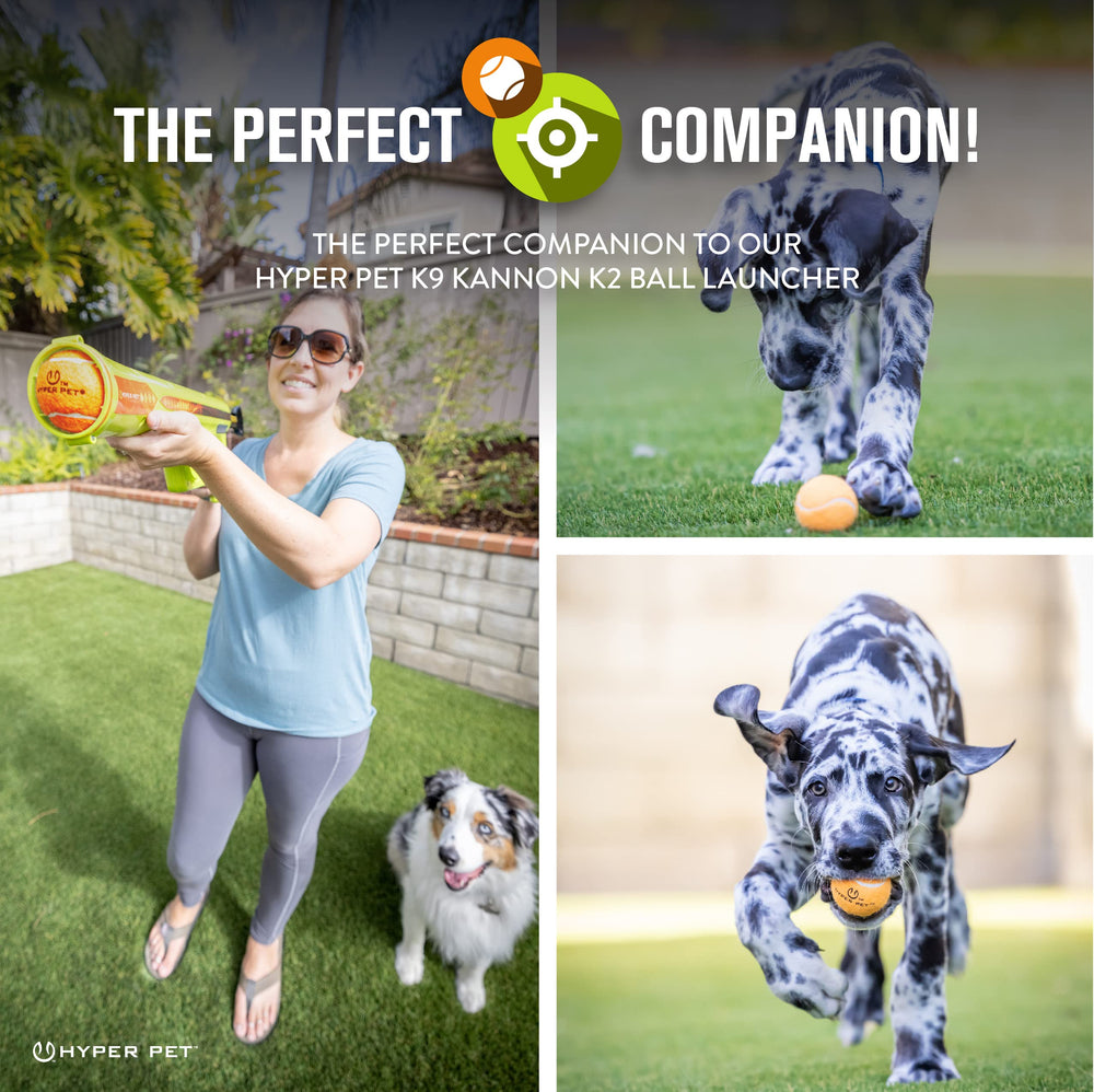 Hyper Pet mini tenis verde para perros, resistente para morder y jugar