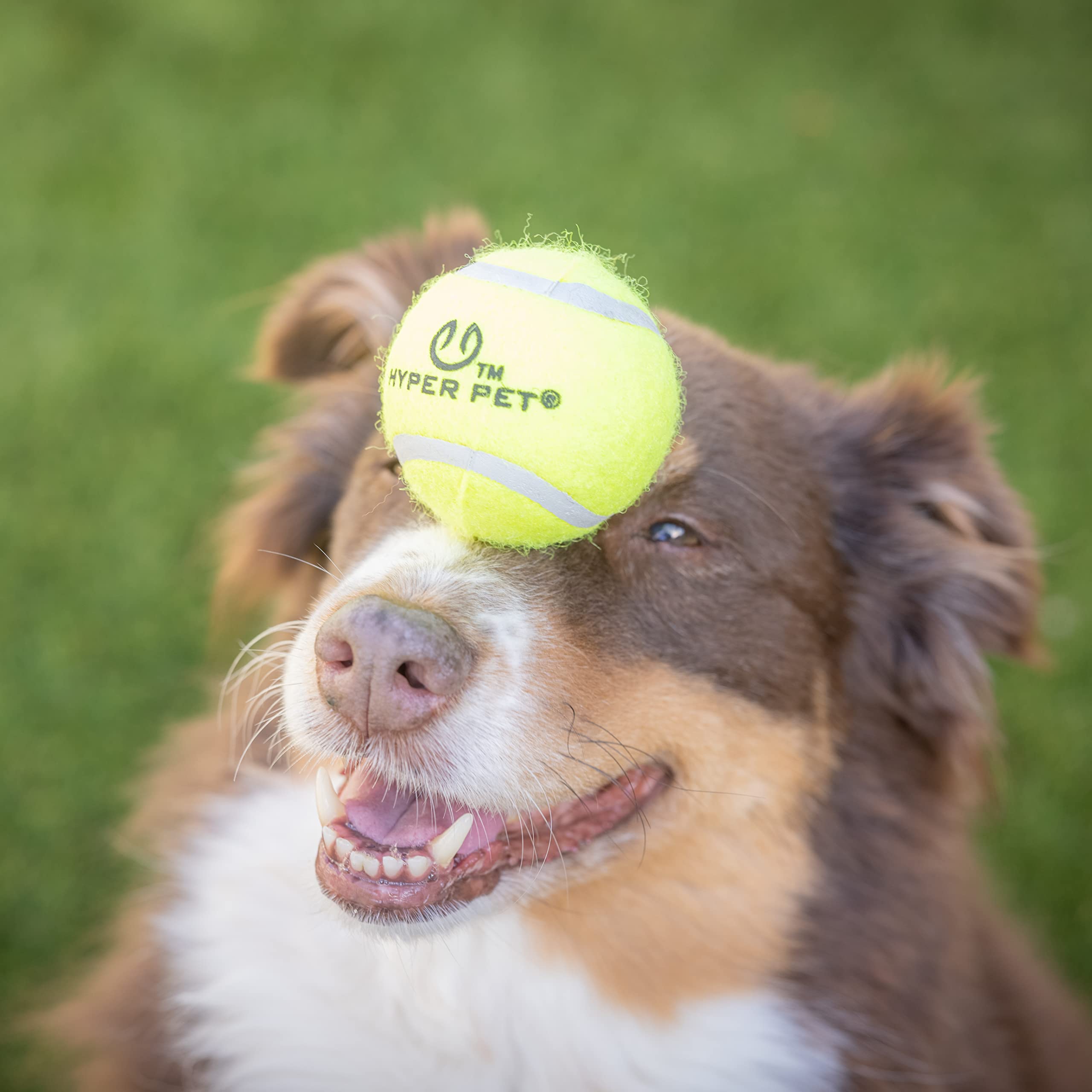 Hyper Pet pelotas-tenis-perro-naranja-08: perfecto para entrenamiento de obediencia y diversión.