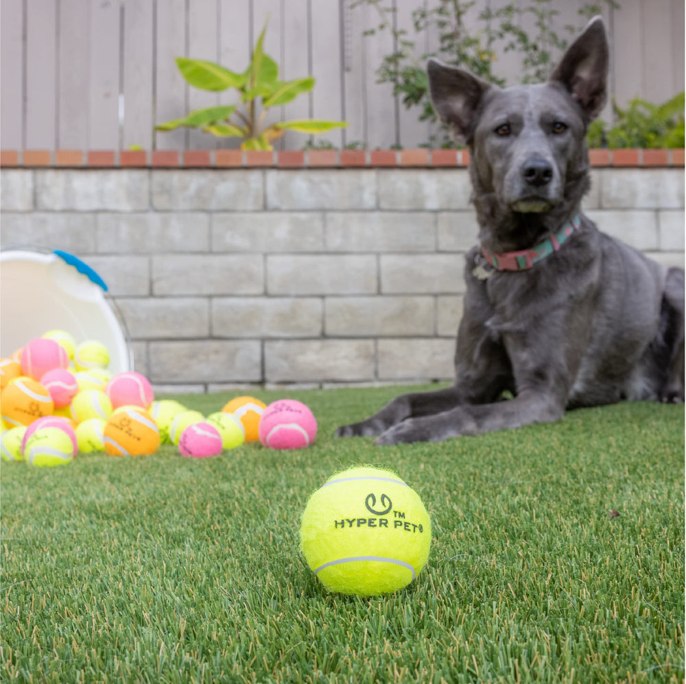 Hyper Pet pelotas-tenis-perro-verde-04: flotan para diversión en piscina.