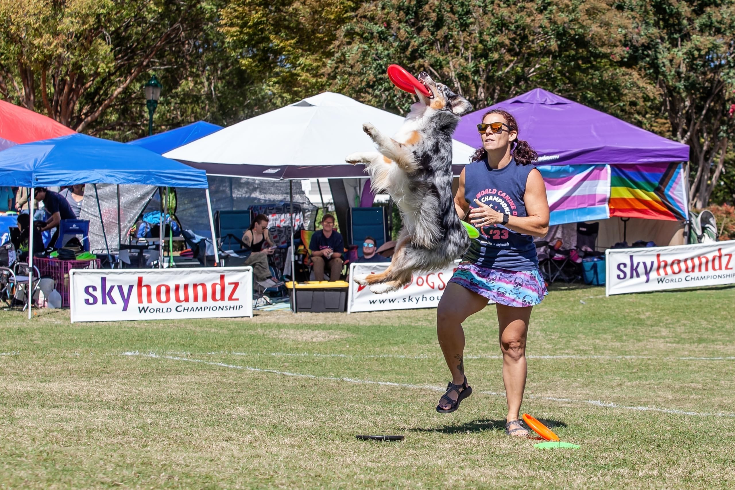 Disco Hyperflite K-10 Jawz en campo, optimizado para entrenamiento de distancia
