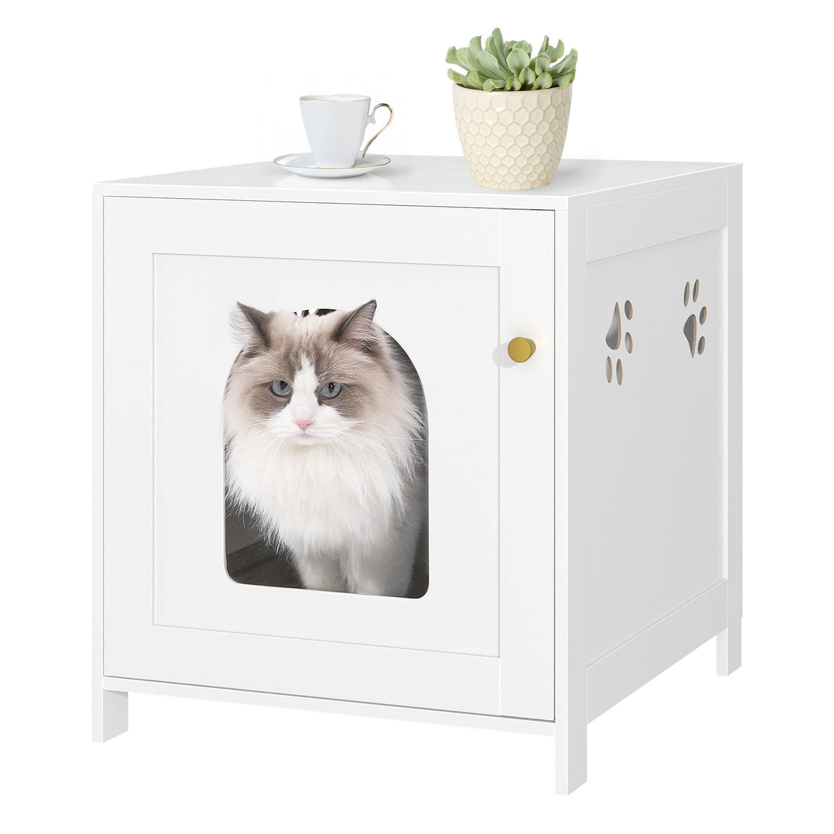 Hzuaneri recinto para caja de arena con puerta arco frontal, privacidad para tu gato.
