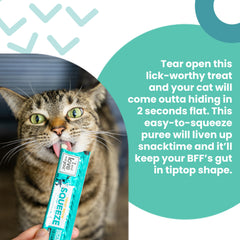 I AND LOVE AND YOU Treat Meow Immune Support pouch close-up demonstrates mineral goodness
