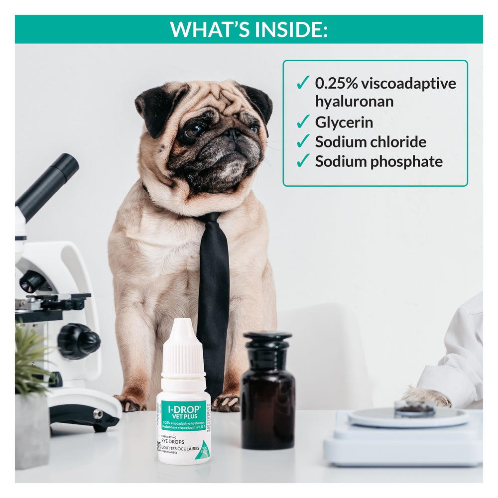 I-DROP VET PLUS fórmula con hialuronano para hidratación ocular prolongada
