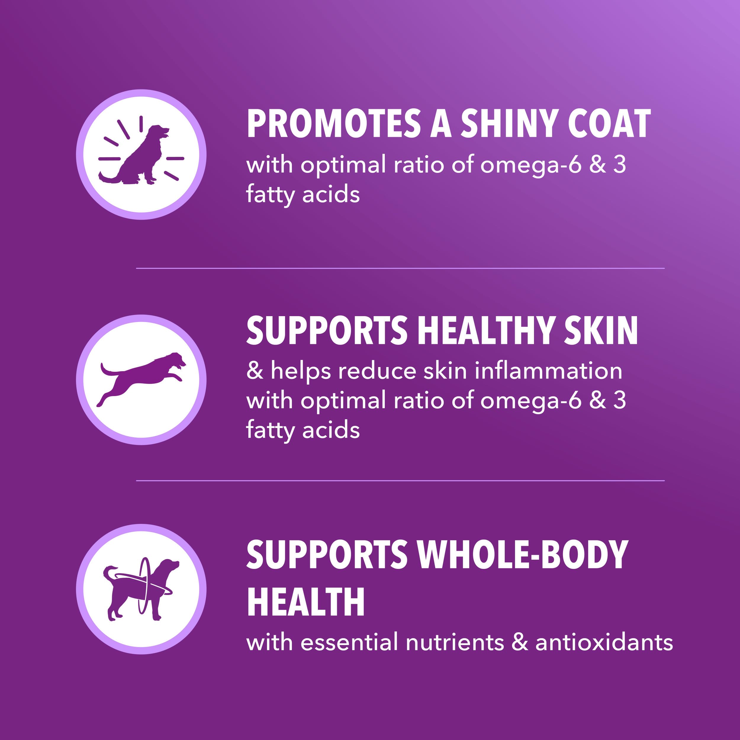 IAMS Advanced Health, nutrición de cuerpo completo con granos enteros.