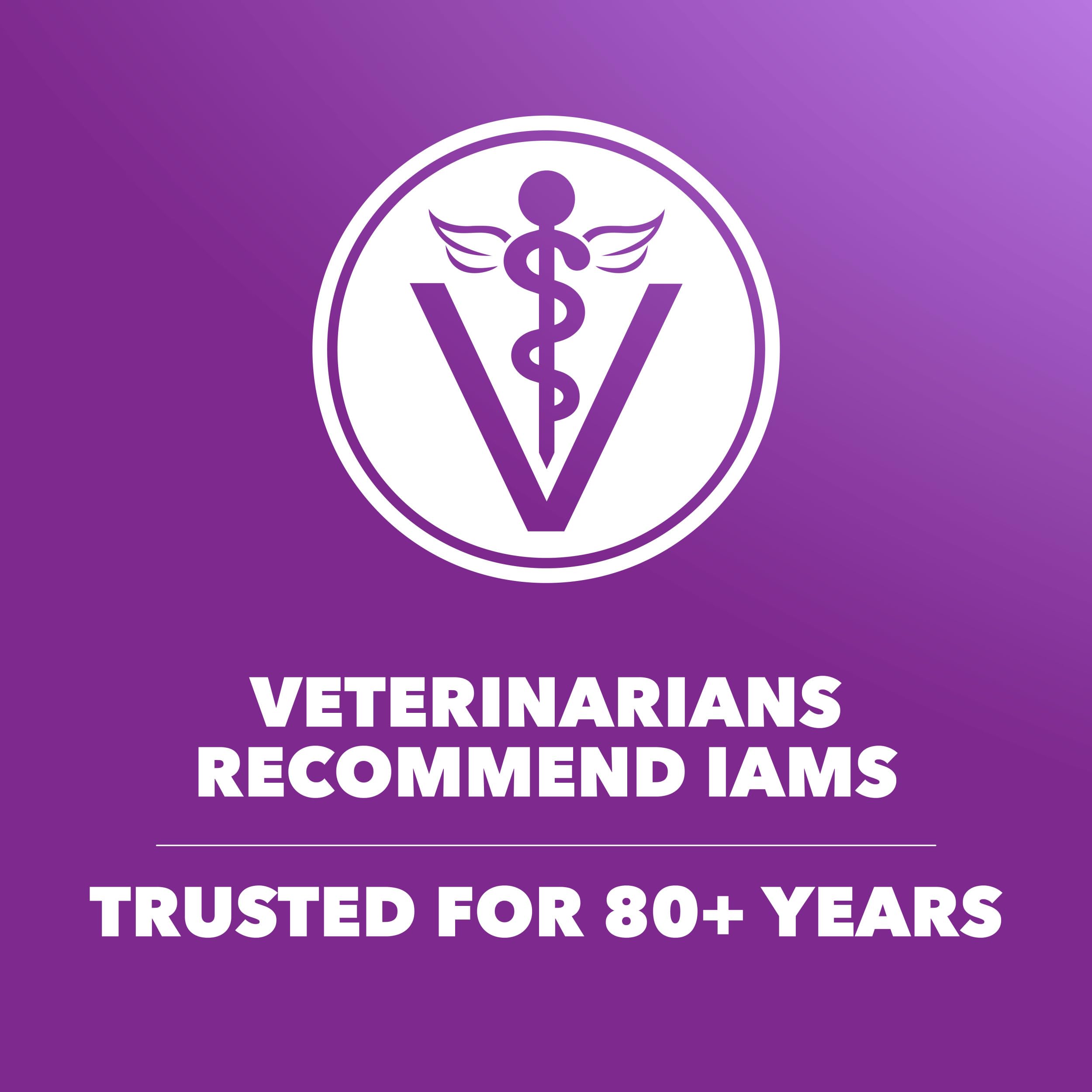 IAMS Salud Digestiva Avanzada, energía diaria gracias a nutrientes esenciales.