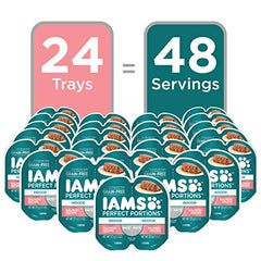 IAMS Gato interior sin granos Pate Salmón para dieta diaria