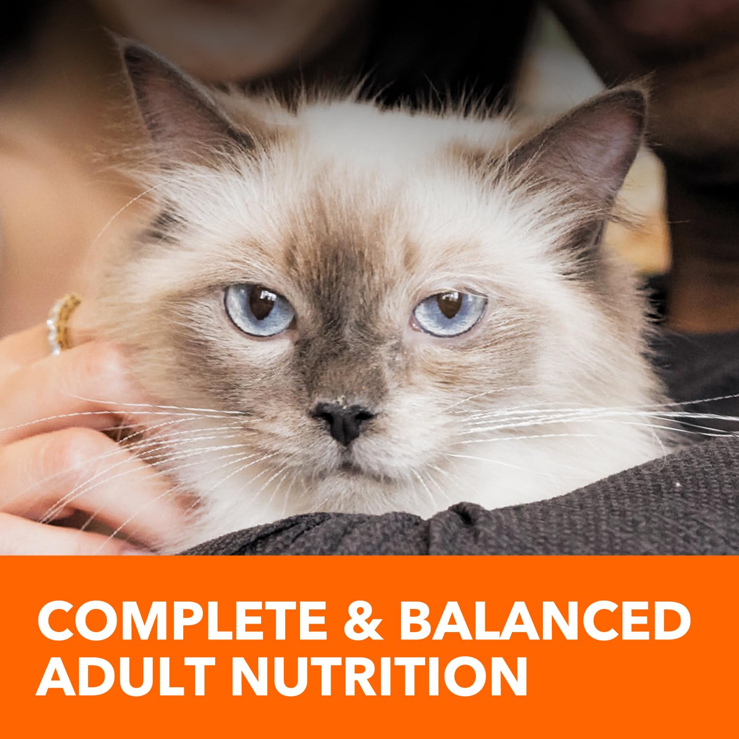 Vitaminas y antioxidantes en IAMS para nutrición diaria.