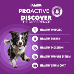 IAMS Pollo real y salmón en croqueta para músculos fuertes.