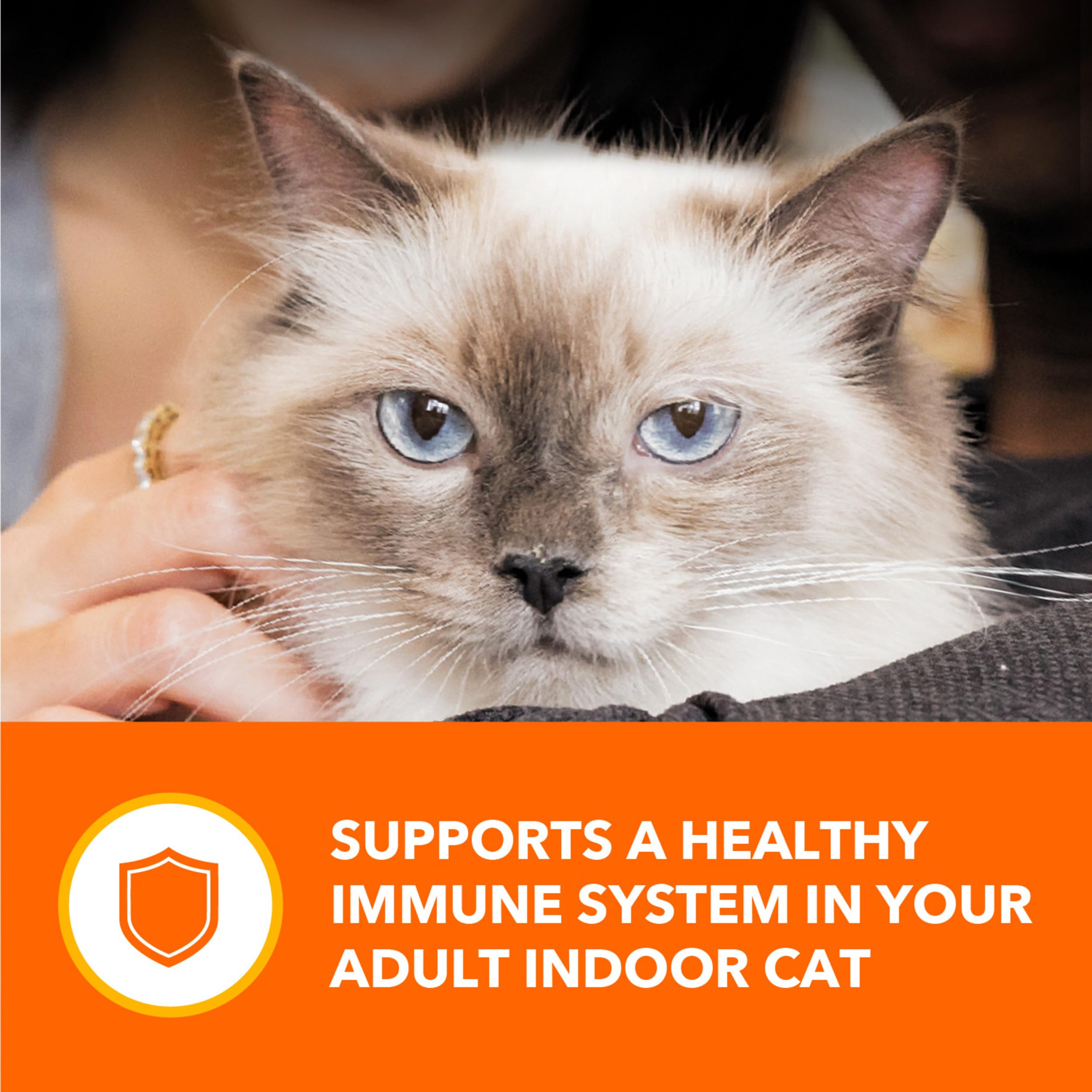 IAMS Perfect Portions, alto contenido de humedad para la hidratación