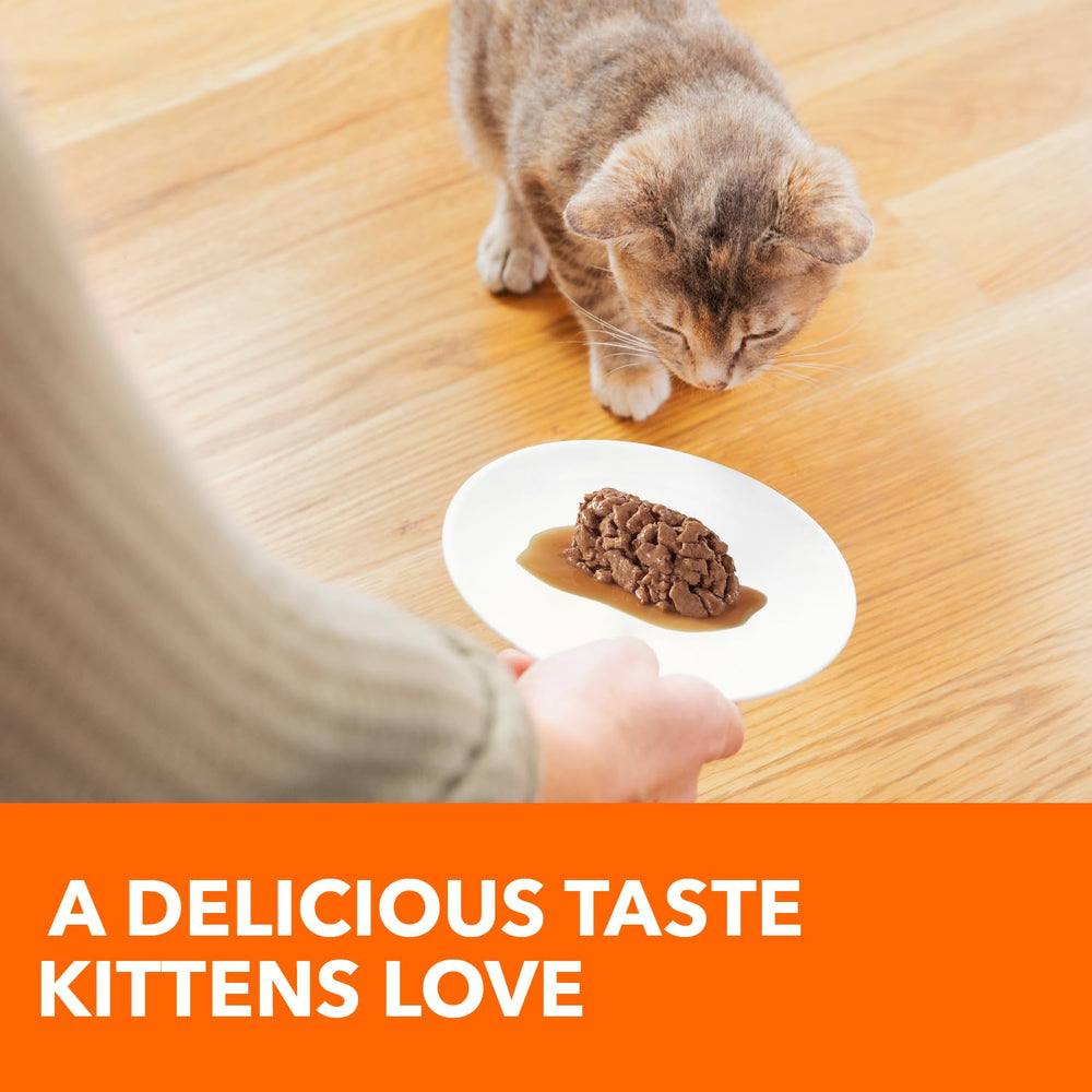 IAMS Perfect Portions sin conservantes artificiales, receta natural.
