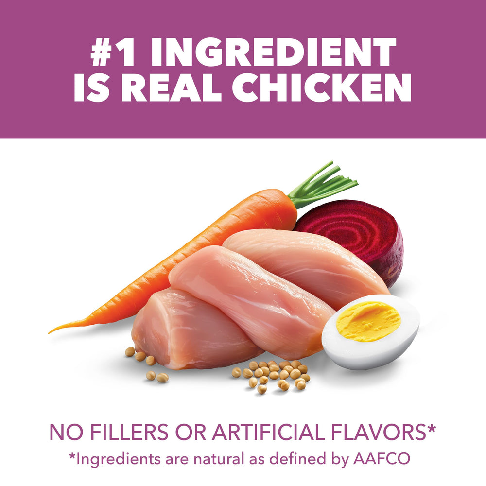 IAMS con pollo real como ingrediente principal para sabor natural y digestión suave.