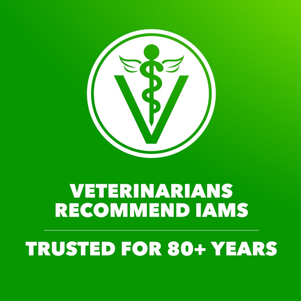 IAMS Proactive Health Adult Wet Dog Food proteína de alta calidad para perros activos.