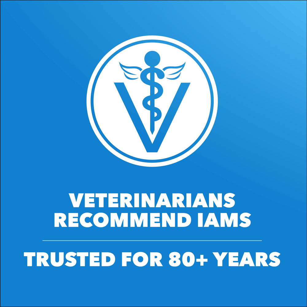 IAMS Proactive Health fibra natural y prebióticos para digestión equilibrada