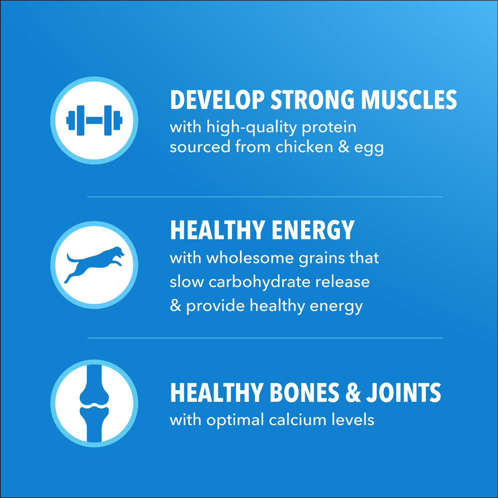 IAMS Proactive Health fórmula sin rellenos ni sabores artificiales