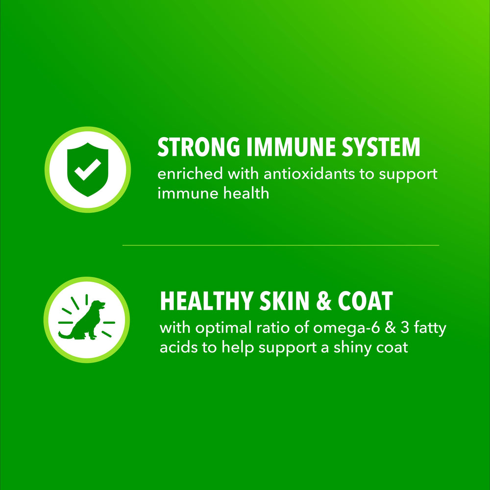 IAMS Proactive Health: apoyo para articulaciones con glucosamina y condroitina