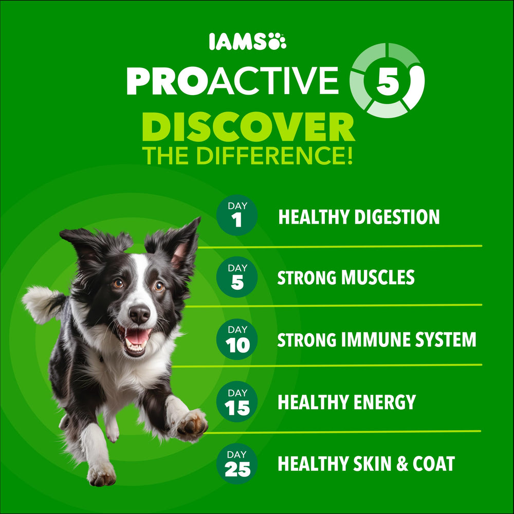 IAMS Proactive Health: pollo real como ingrediente principal para palatabilidad