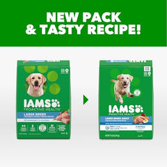 IAMS Proactive Health en bol de perro: porcion deliciosa para perros grandes activos