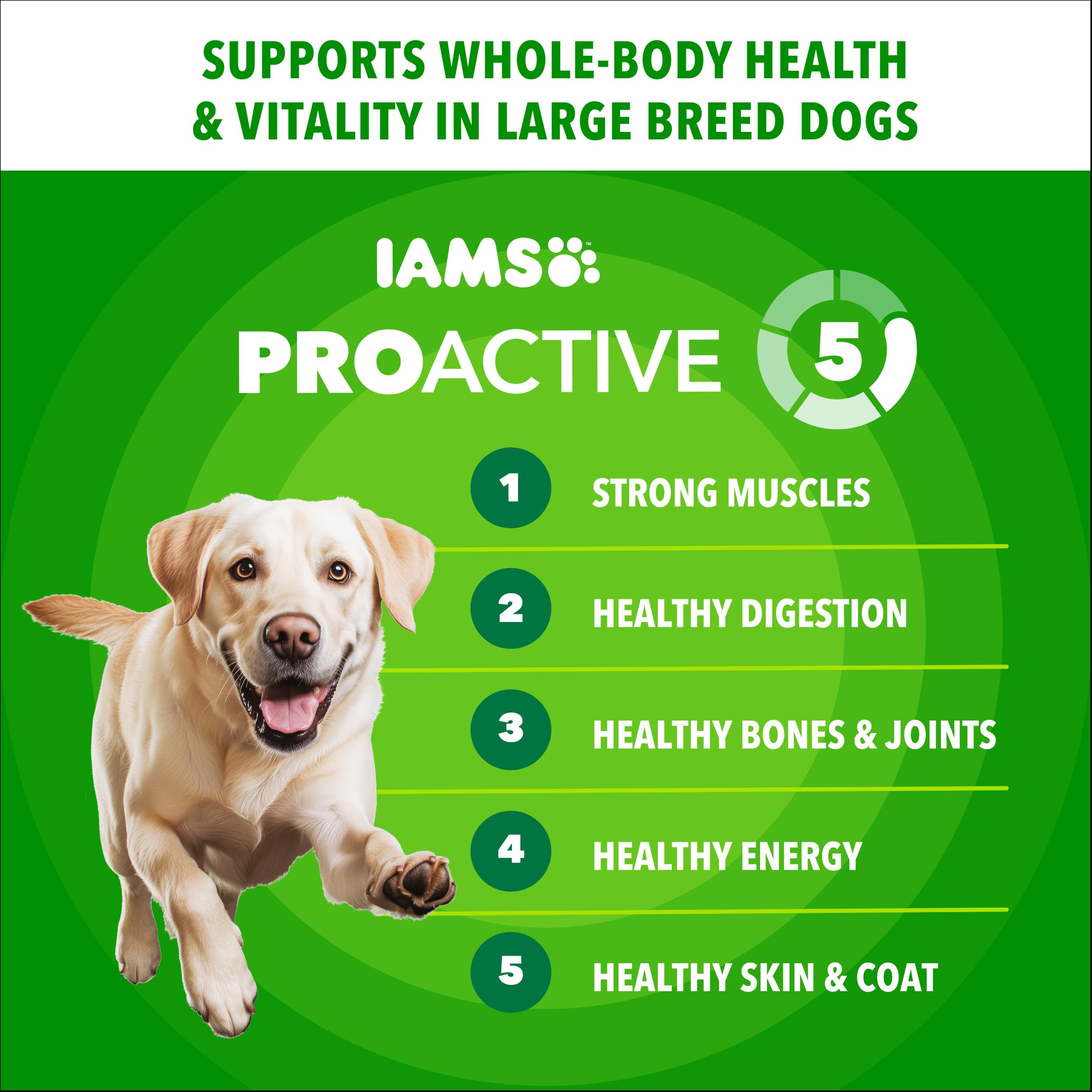 IAMS Proactive Health ingredientes reales: pollo como ingrediente principal para sabor natural