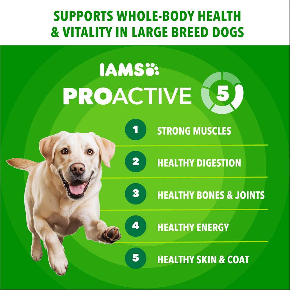 IAMS Proactive Health ingredientes reales: pollo como ingrediente principal para sabor natural