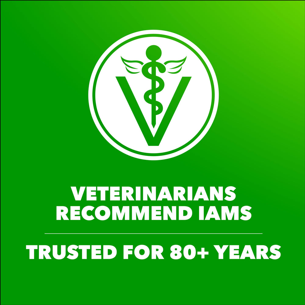 IAMS Proactive Health: musculos fuertes gracias a proteina de calidad